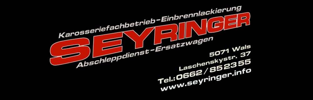 seyringer_logo2.png